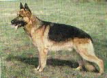 Canto vd.Wienerau